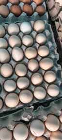 King's Poultry and egg Depot's website